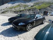 jaguar alle tre cime di lavaredo (9/26)